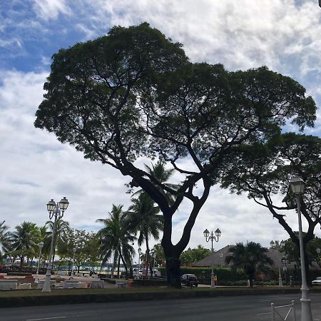Magnifique F3 Tout Equipe Lägenhet Papeete  Exteriör bild